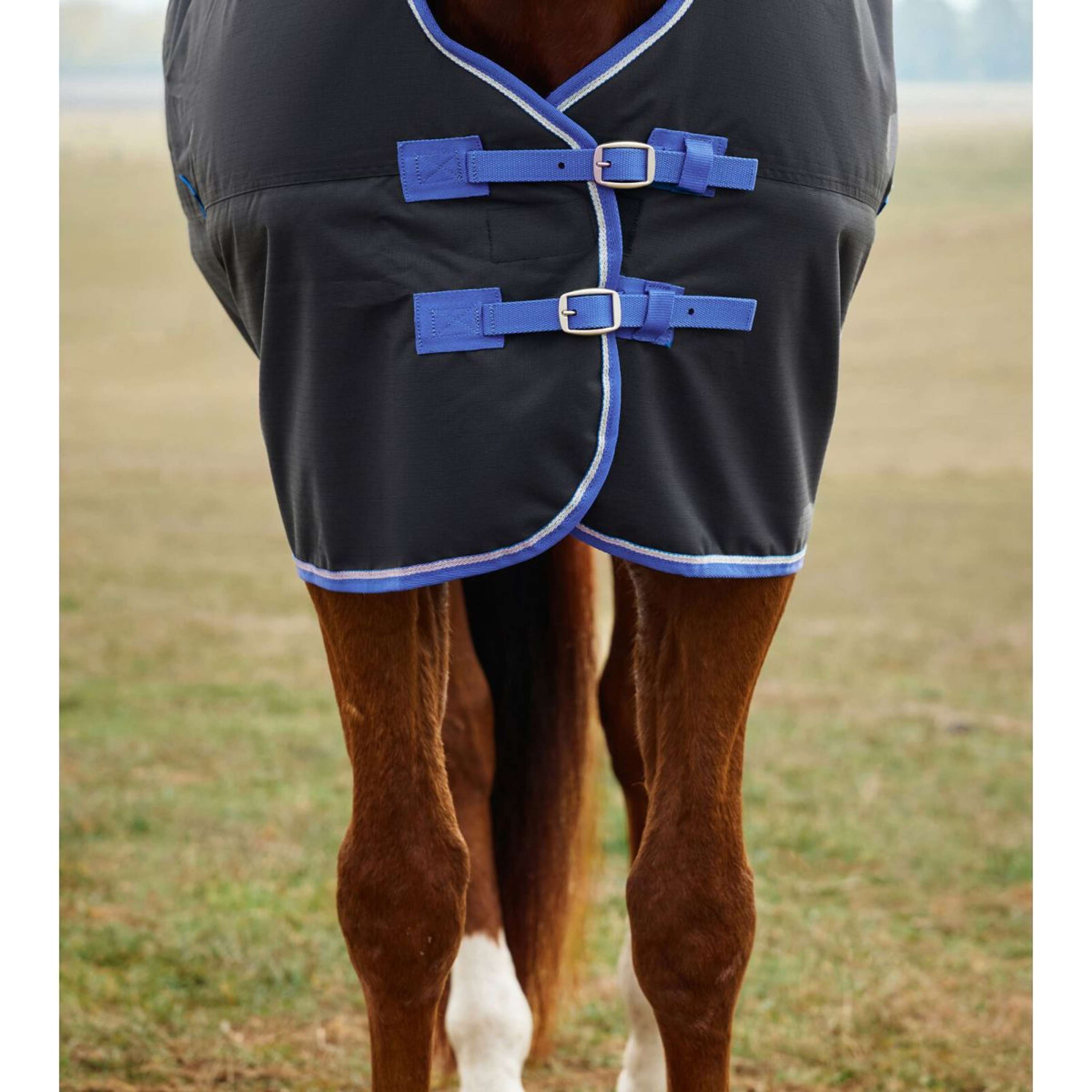 WeatherBeeta ComFiTec Tyro Turnout Standard Neck 220g Black/Cobalt
