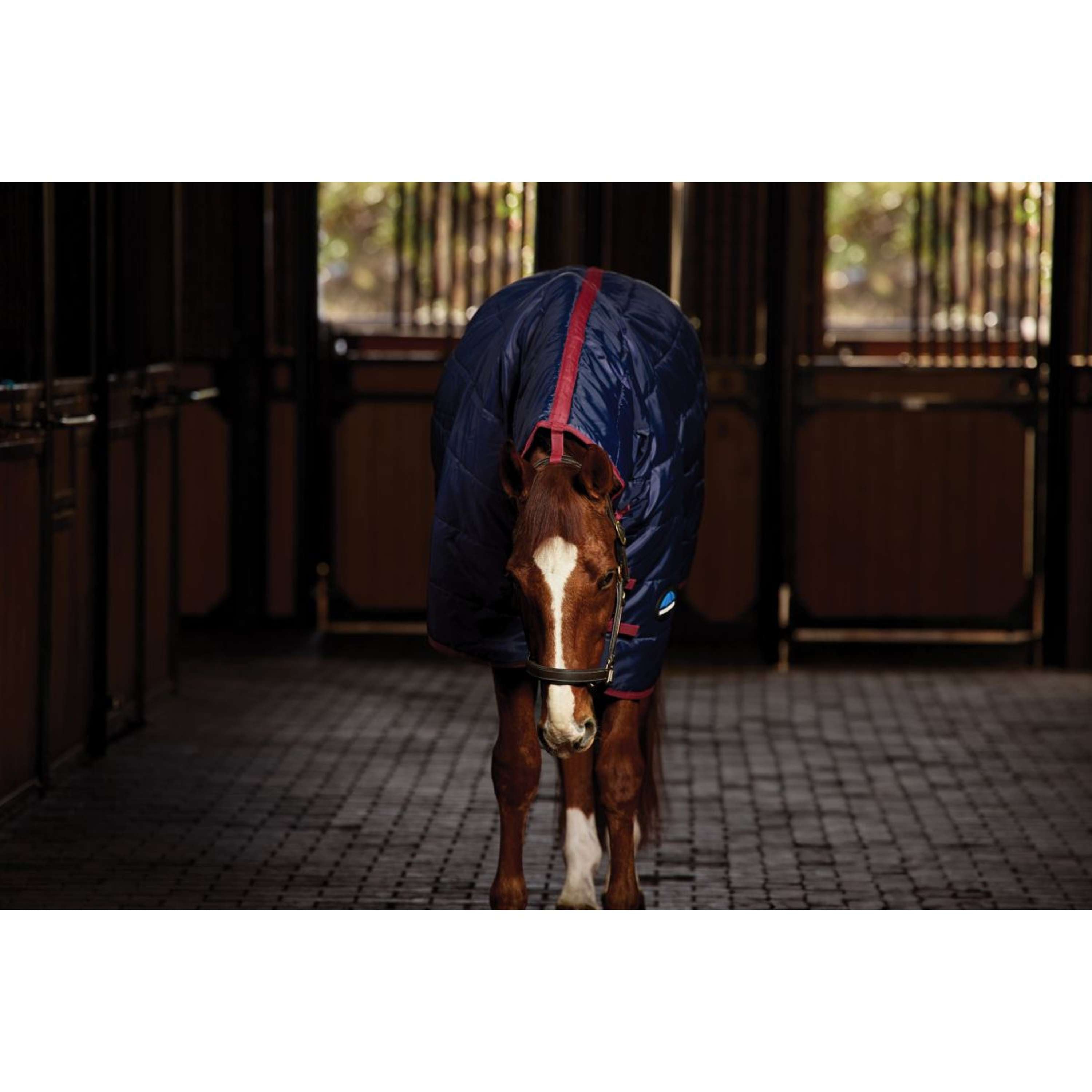 WeatherBeeta Stable Rug ComFiTec 210D Channel Quilt Combo Neck 220g Navy/Burgundy