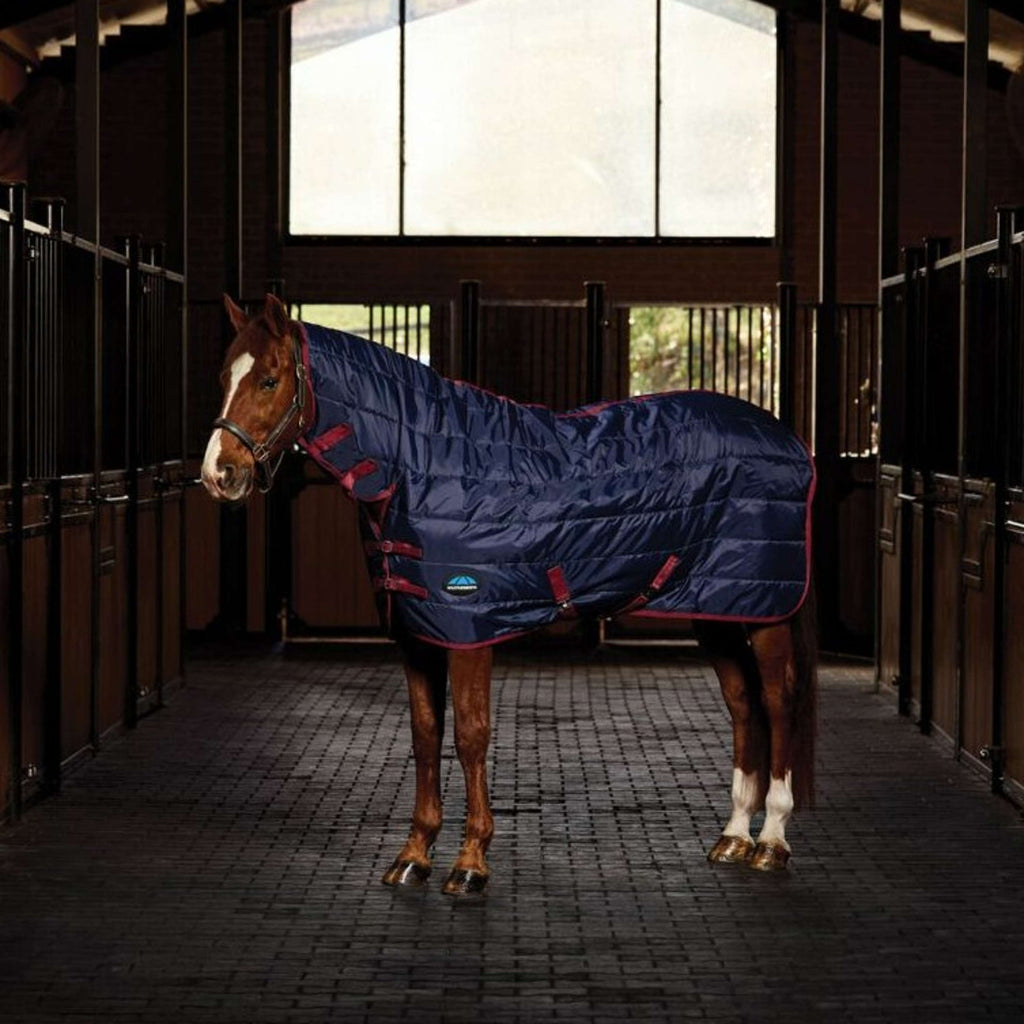 WeatherBeeta Stable Rug ComFiTec 210D Channel Quilt Combo Neck 220g Navy/Burgundy