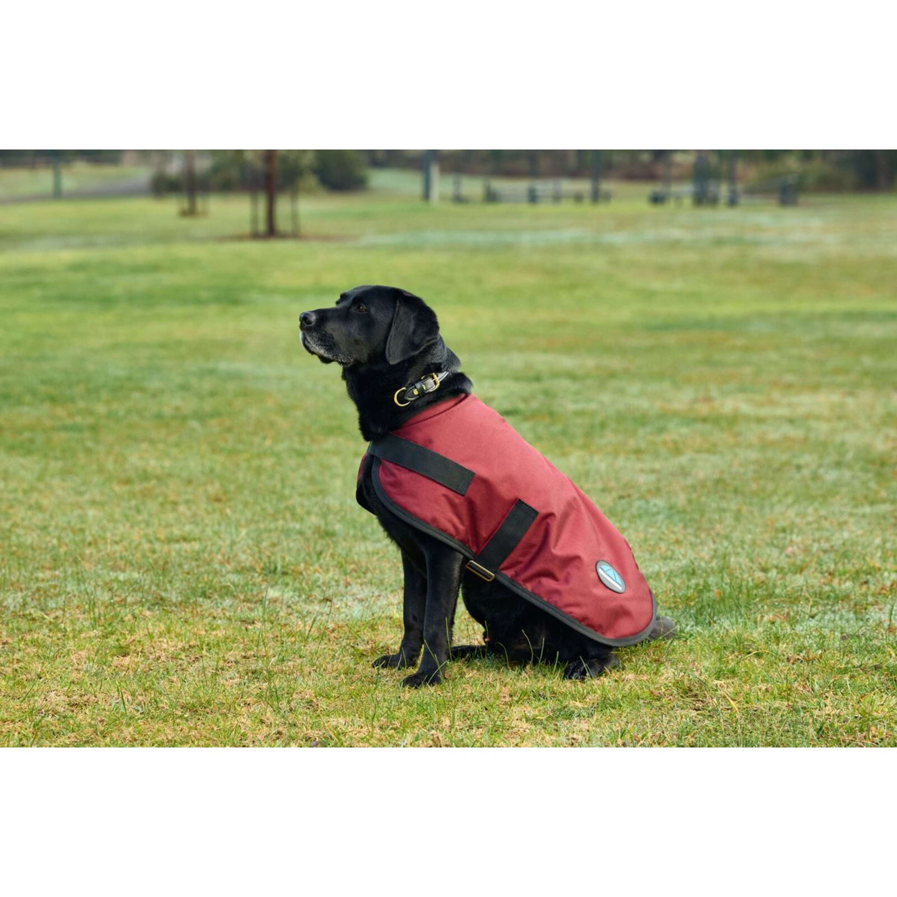 WeatherBeeta Dog Rug ComFiTec Classic Waterproof Burgundy
