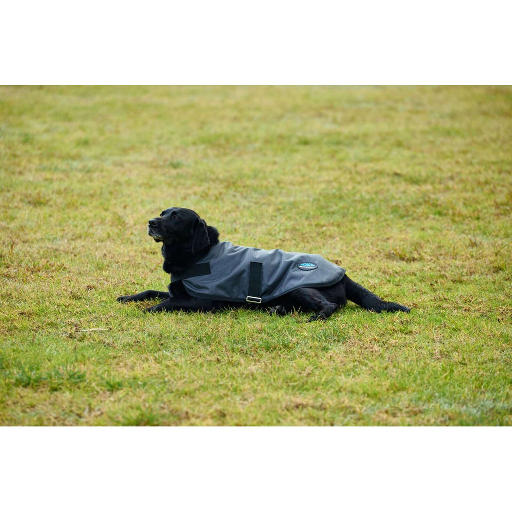 WeatherBeeta Dog Rug ComFiTec Classic Waterproof Charcoal