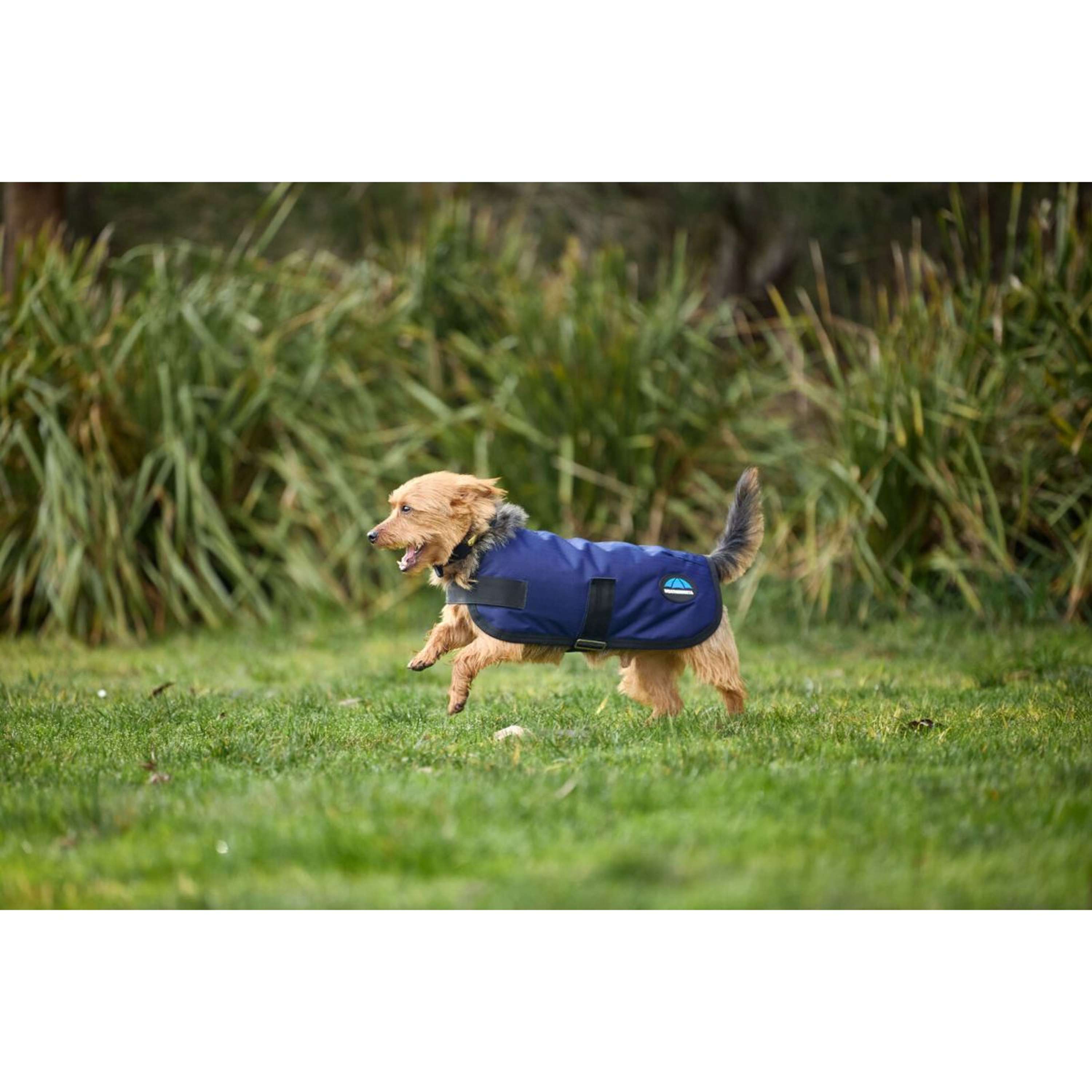 WeatherBeeta Dog Rug ComFiTec Classic Waterproof Navy