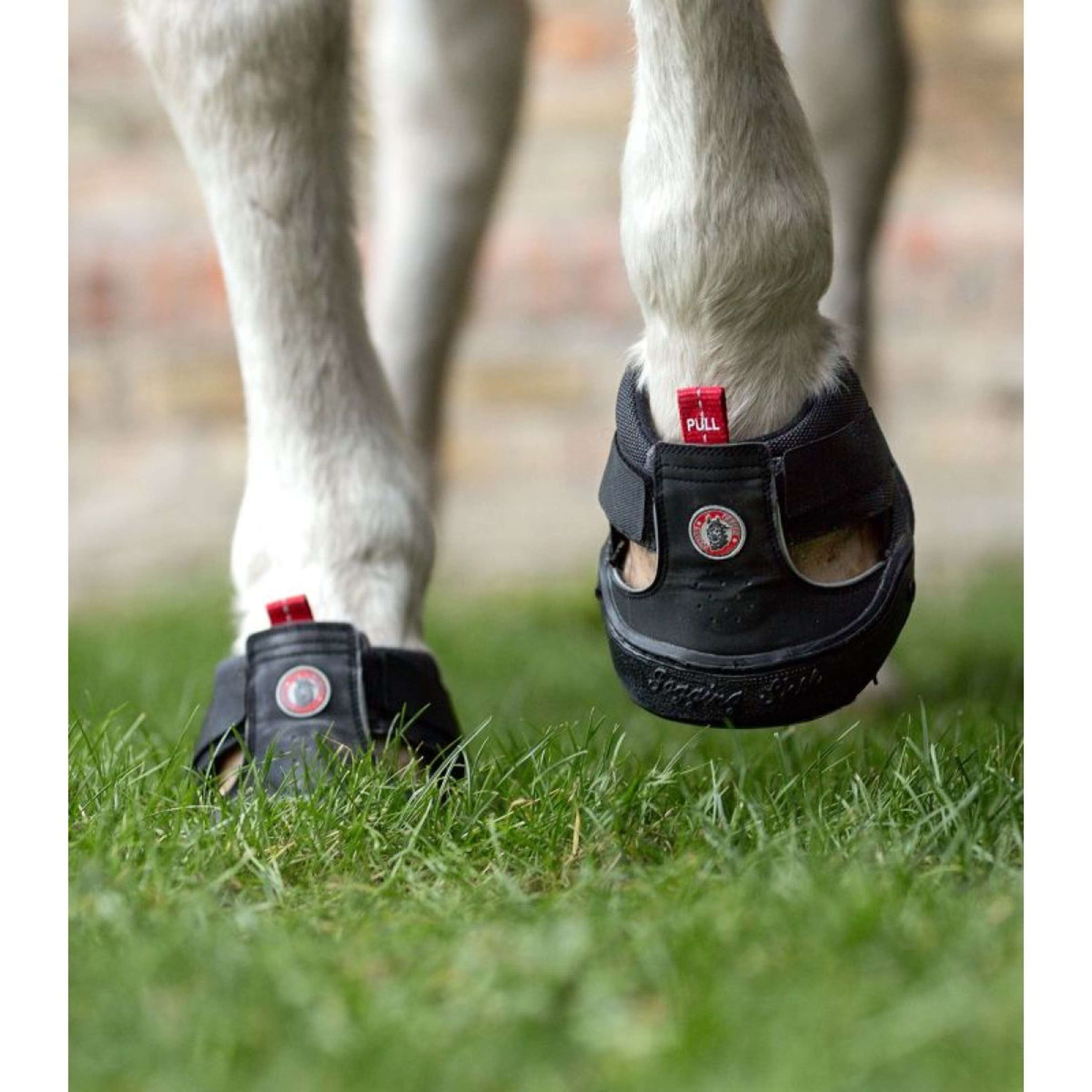 Equine Fusion Horse Shoe Trekking Slim Black