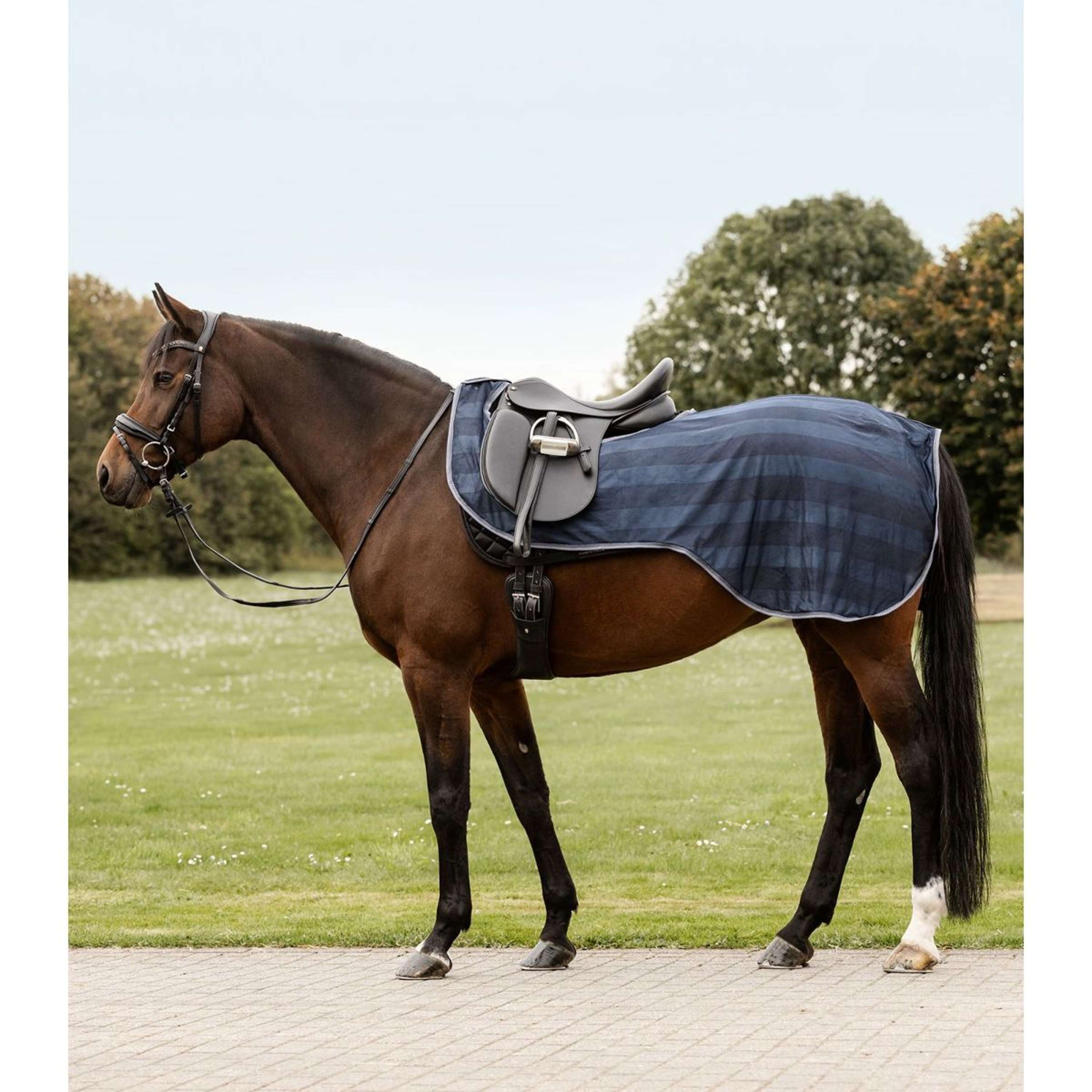 Waldhausen Anti-fly Riding Rug Economic Night Blue