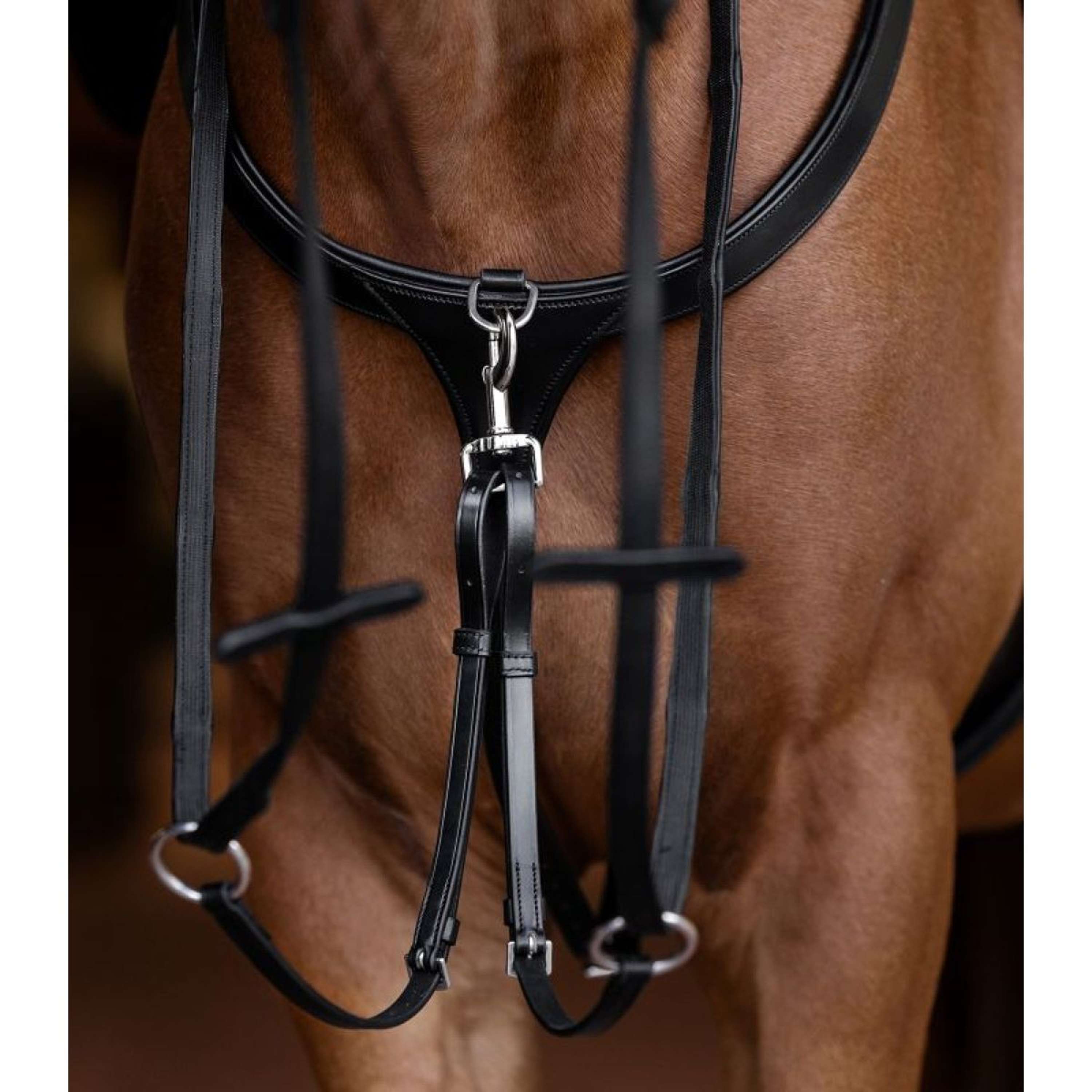 Waldhausen Martingale X-Line Black